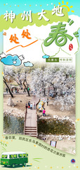 （图表·海报）美丽中国丨神州大地处处春（7）