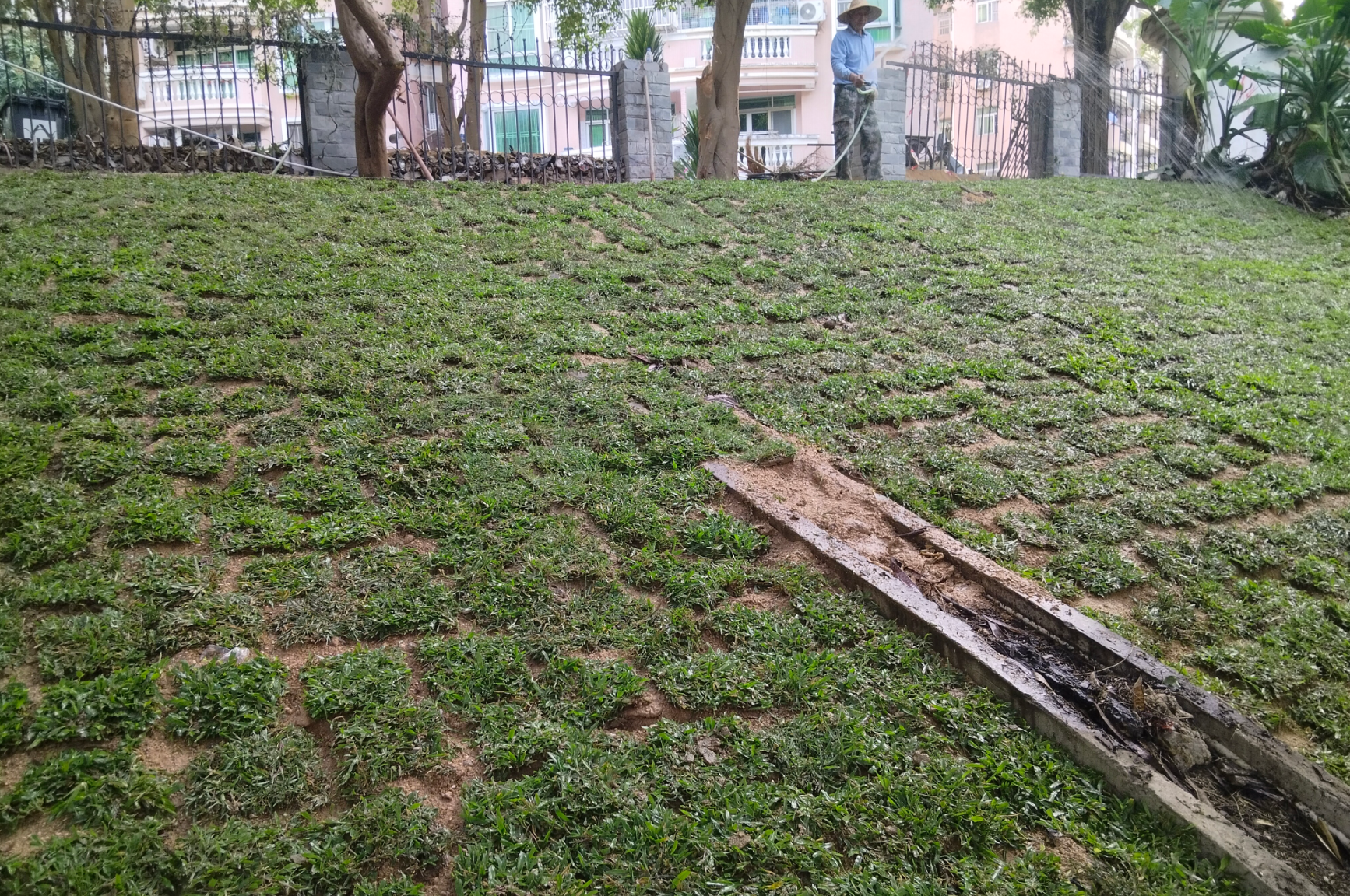 吉华街道：以小投入实现边坡整治大生态效益