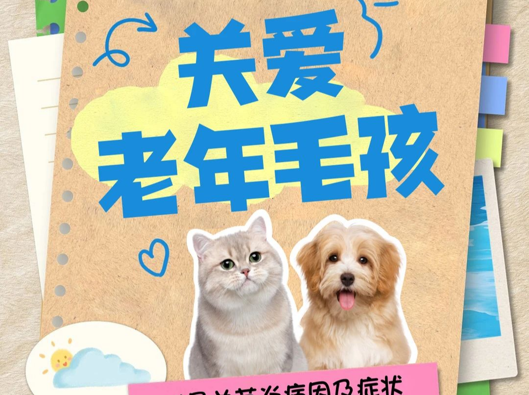 宠域talk | 宠物也会得关节炎？这种慢性疾病尽早关注→