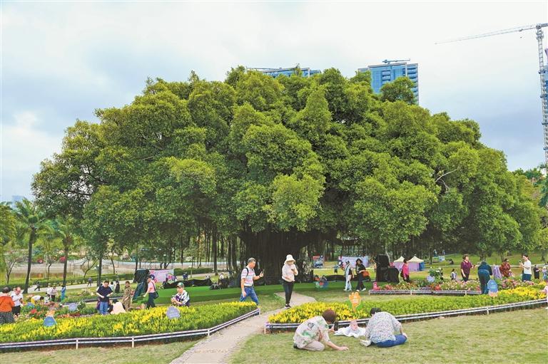深圳首个公园100岁了，目前全市有公园1320个，深圳加速打造全域公园城市