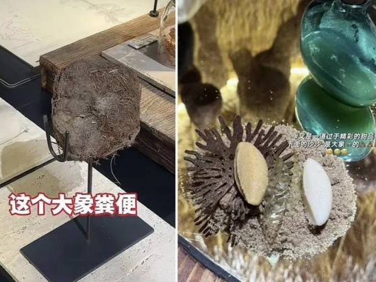 下午茶｜3888元请吃大象粑粑甜品！原生态餐厅火上热搜，“猎奇饭”真有市场？