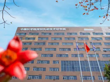 顶刊论文+1，深圳先进院揭示肿瘤“作弊器”持续存在的关键机制