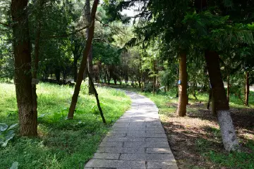 广东省乡土植物园！中山植物园有了新称号