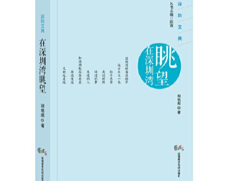 在深圳湾眺望