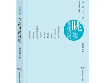在深圳湾眺望