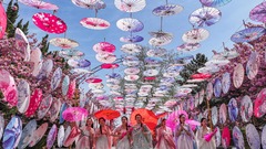山东荣成：“樱花经济”引客来
