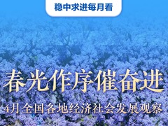 稳中求进每月看|春光作序催奋进——4月全国各地经济社会发展观察