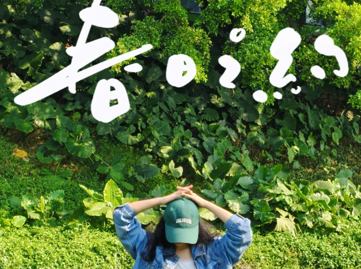 绿野仙踪！赴一场春日之约