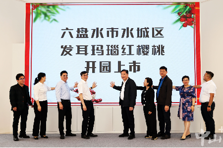 玛瑙红樱桃甜蜜来袭！六盘水与中山消费嘉年华系列活动启动