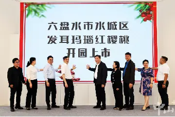 玛瑙红樱桃甜蜜来袭！六盘水与中山消费嘉年华系列活动启动