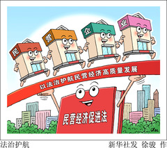 （图表·漫画）法治护航