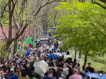 清明小长假点燃春游热潮：多个热门博物馆约满，景区逛出“推背感”