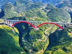 重庆一特大桥获国际桥梁界大奖！