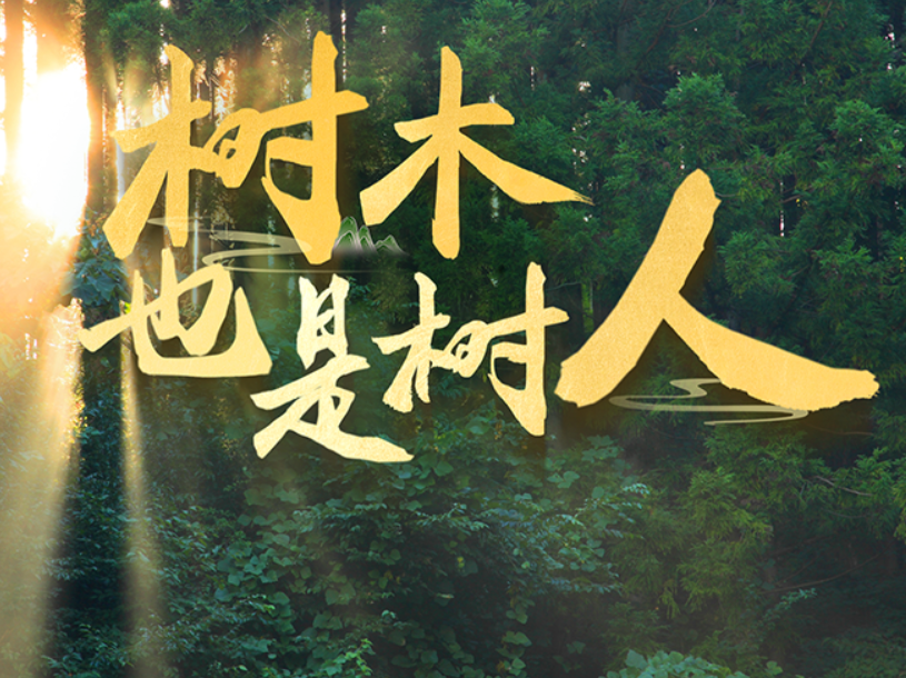 近观“两山”｜树木，也是树人