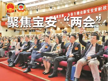 向新而行——聚焦2025宝安“两会”