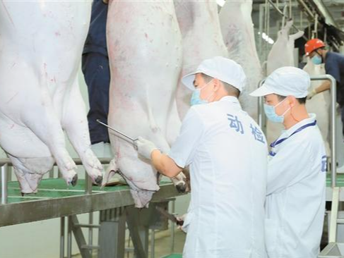 深圳肉品来源可查去向可追 2万多家肉类批发企业和销售终端接入肉品溯源监管