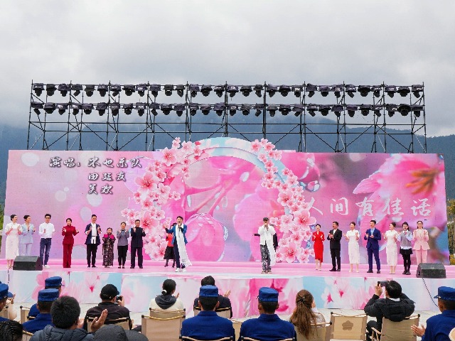 岭南木棉绽放雪域高原，“文化润藏”共谱“山海情深”