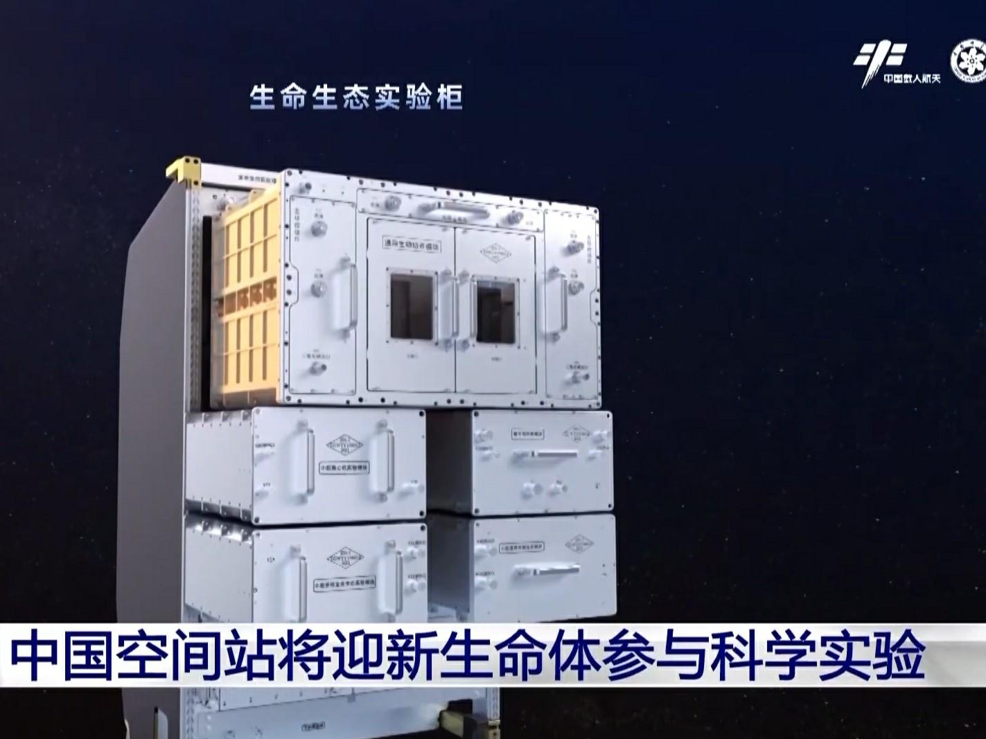 神二十发射在即，这次太空之旅还有一位神秘乘客 