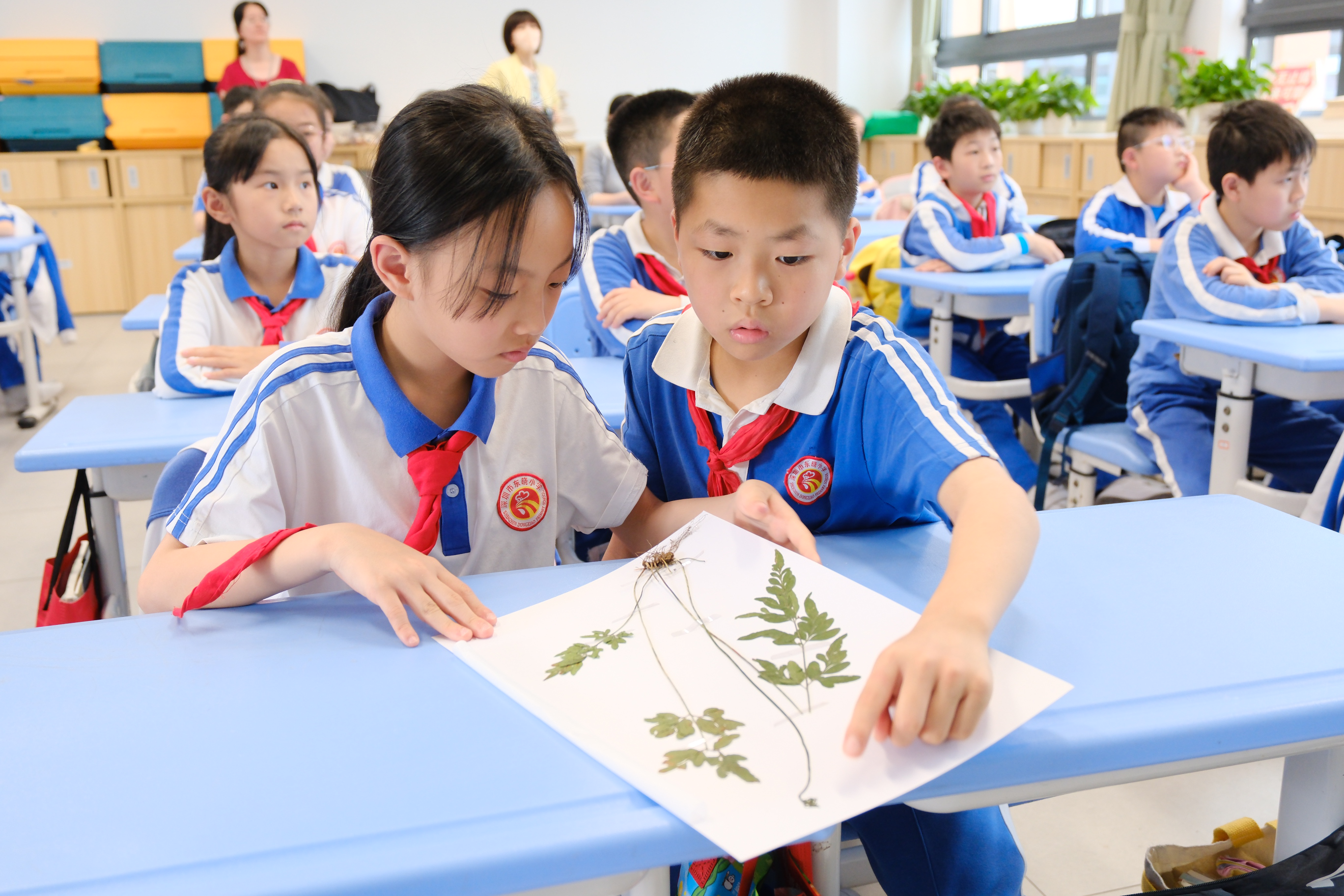 （重稿）罗湖生态课堂进校园：播撒绿色希望，共筑生态未来
