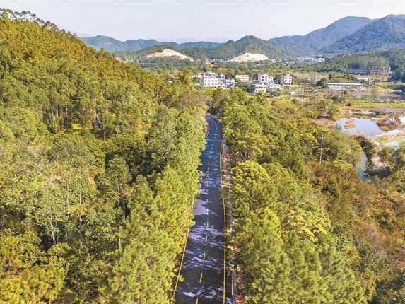 一条路上品民俗风情，一条路上赏湖光山色，深汕两条美丽农村路焕新颜