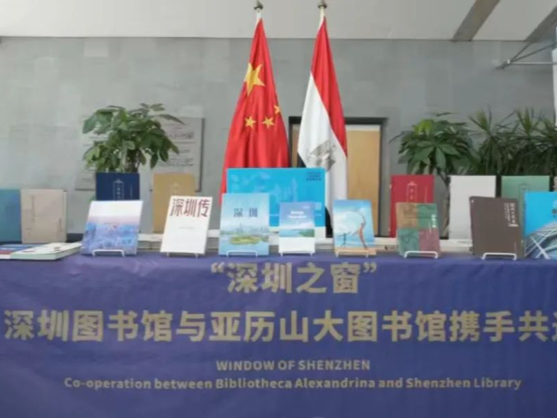 开拓外贸多元市场,深圳市代表团访问非洲