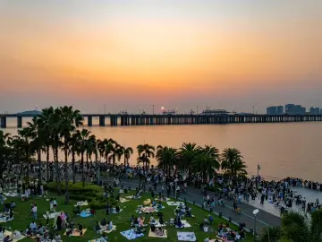 山海之约 嗨玩不停！深圳全市公园“五一”假期30余场主题活动等您来