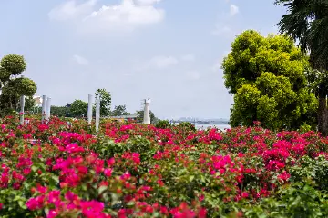中山横栏镇西江花洲公园临时闭园