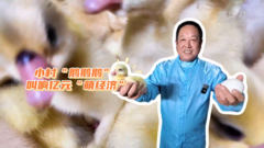 小村“鹅鹅鹅” 叫响亿元“萌经济”