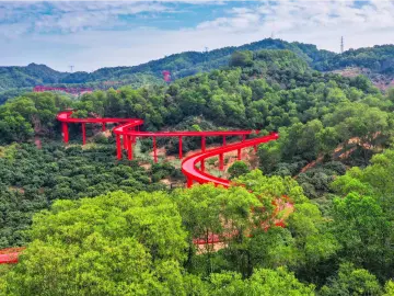 “星星点灯”让零星空地变最美巷道 | 民生直通车