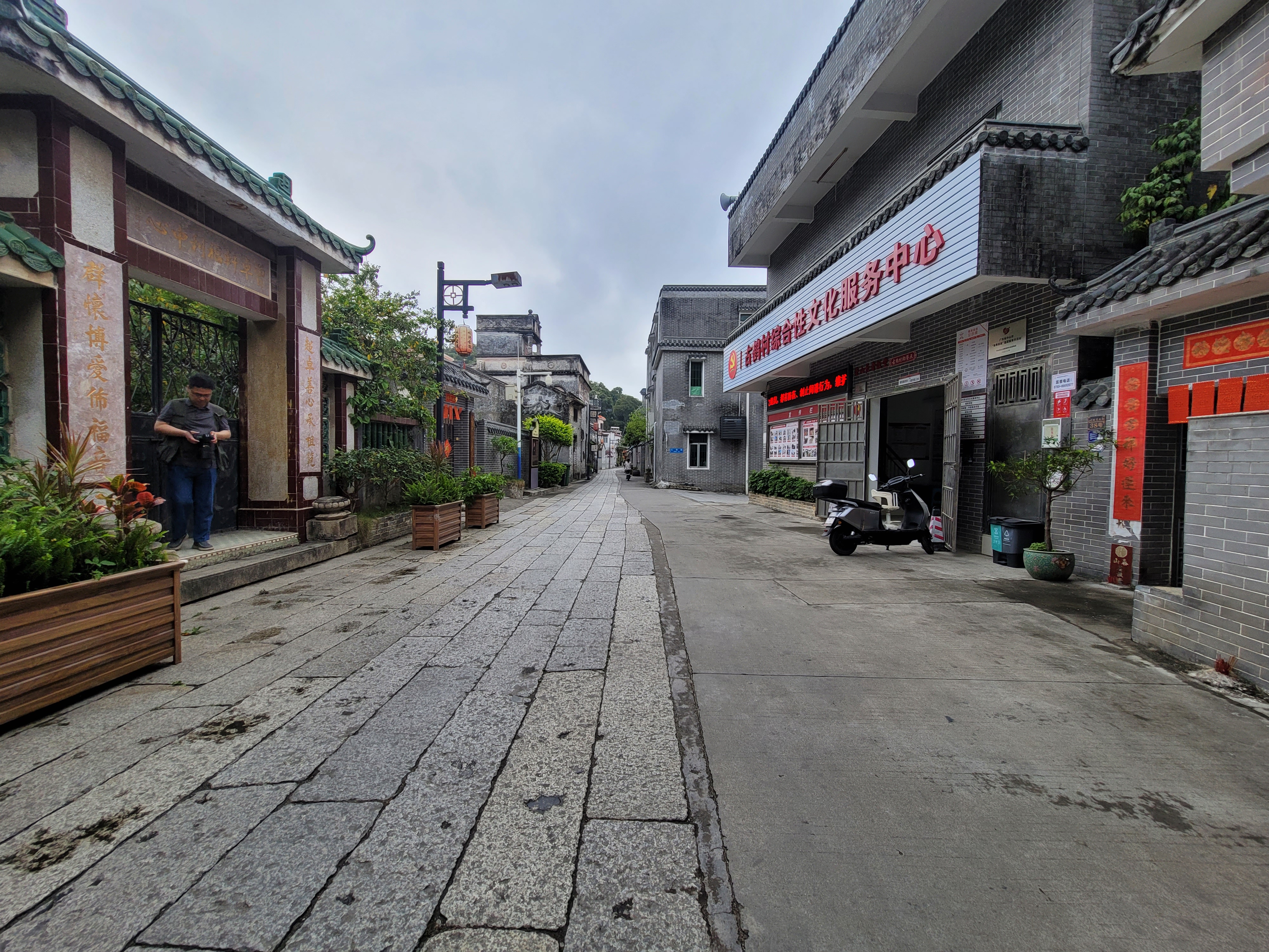 中山三乡：以文化为媒，展现“百千万工程”实践成果