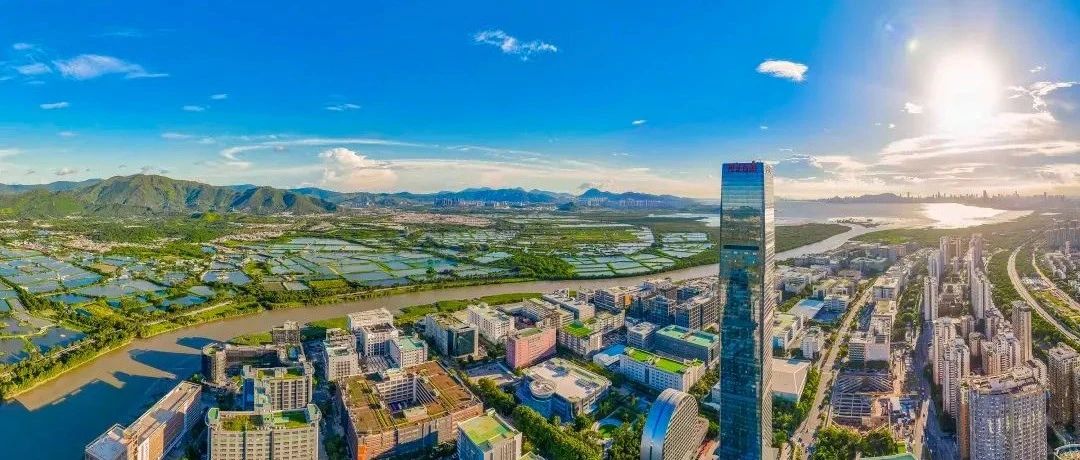 数千名新教师来深开启育人梦想