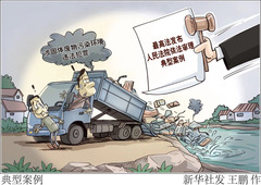 （图表·漫画）典型案例