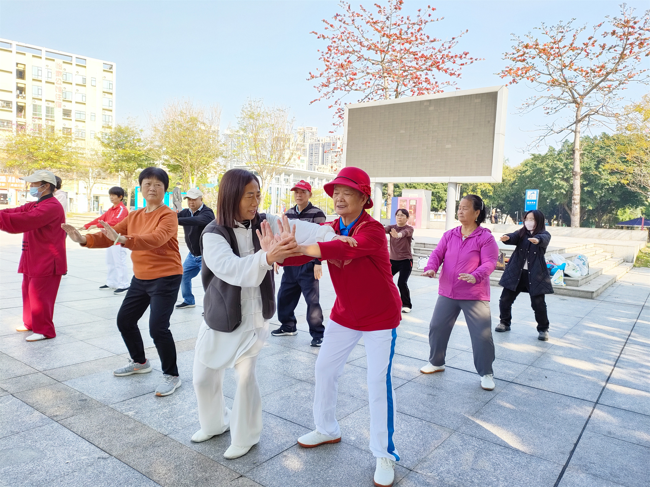 玉塘银龄志愿者：共建活力社区 展现温情力量