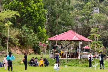 吃美食、逛果园！清明假期首日，中山“乡村游”人气旺
