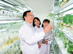  瞭望·瞭望访谈 | 给中国设施园艺装上智慧芯——专访中国工程院院士李天来