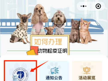 宠域talk | “福田智慧宠物”上线，一站式办理动物检疫、疫苗预约……为铲屎官保驾护航！