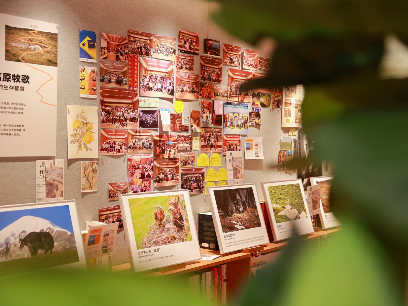 三江源生态摄影展深圳首展揭幕，展开流域文明跨界对谈
