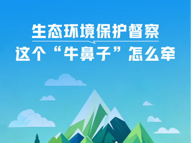 一见·生态环境保护督察，这个“牛鼻子”怎么牵