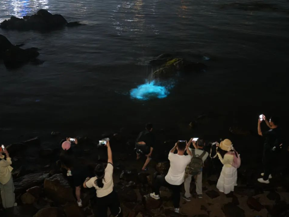 惊艳！深圳一海边上演蓝色浪漫