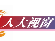 人大视窗丨市人大常委会今年工作“任务书”敲定 立法重质量 监督求实效