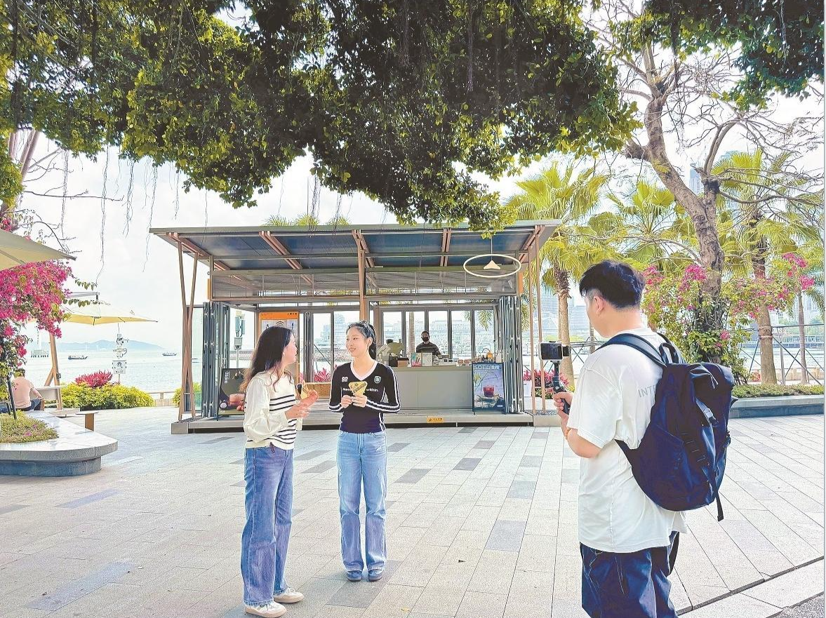 晶报特别报道│穿蛇口 过春天