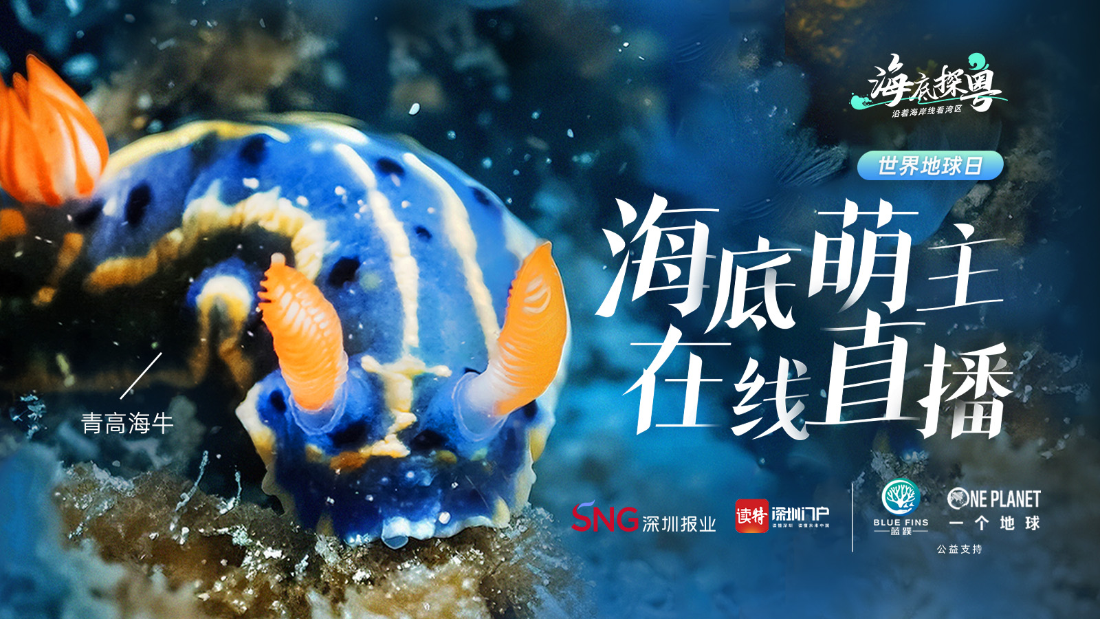 世界地球日，海底“萌主”在线直播