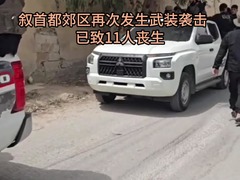 叙首都郊区再次发生武装袭击　已致11人丧生