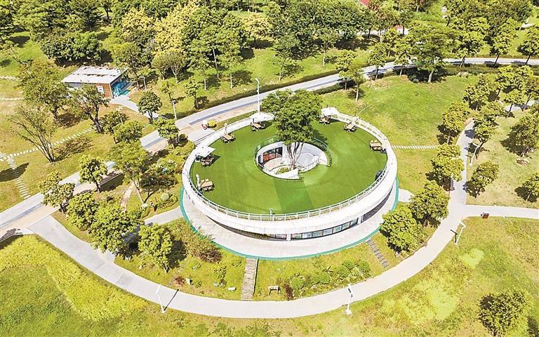 石岩湿地公园“知野园”荣获“国际蝴蝶网络认证蝴蝶园”称号