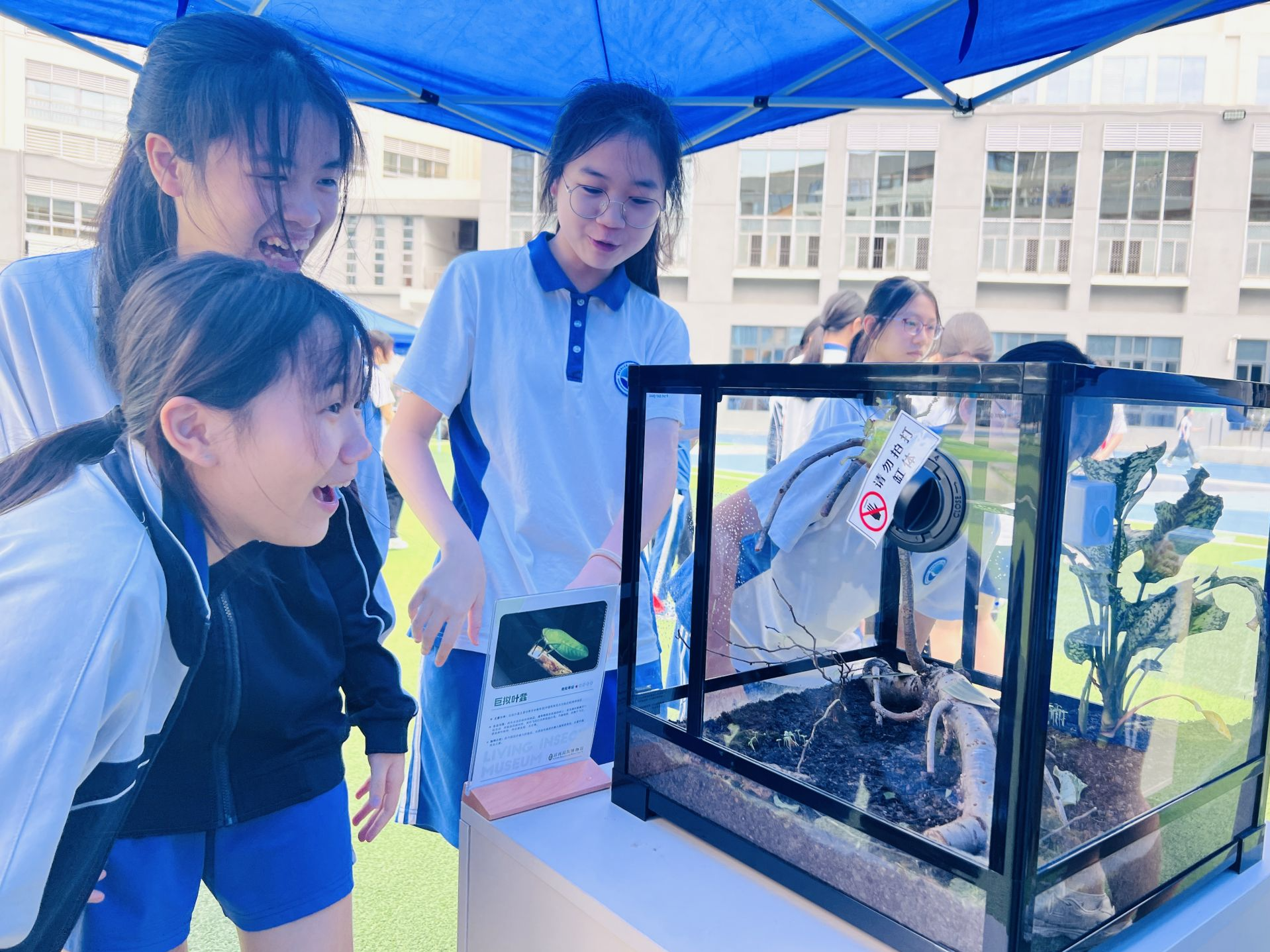 赤湾校园里，一场南山科学教育研讨活动邀师生共赴山海