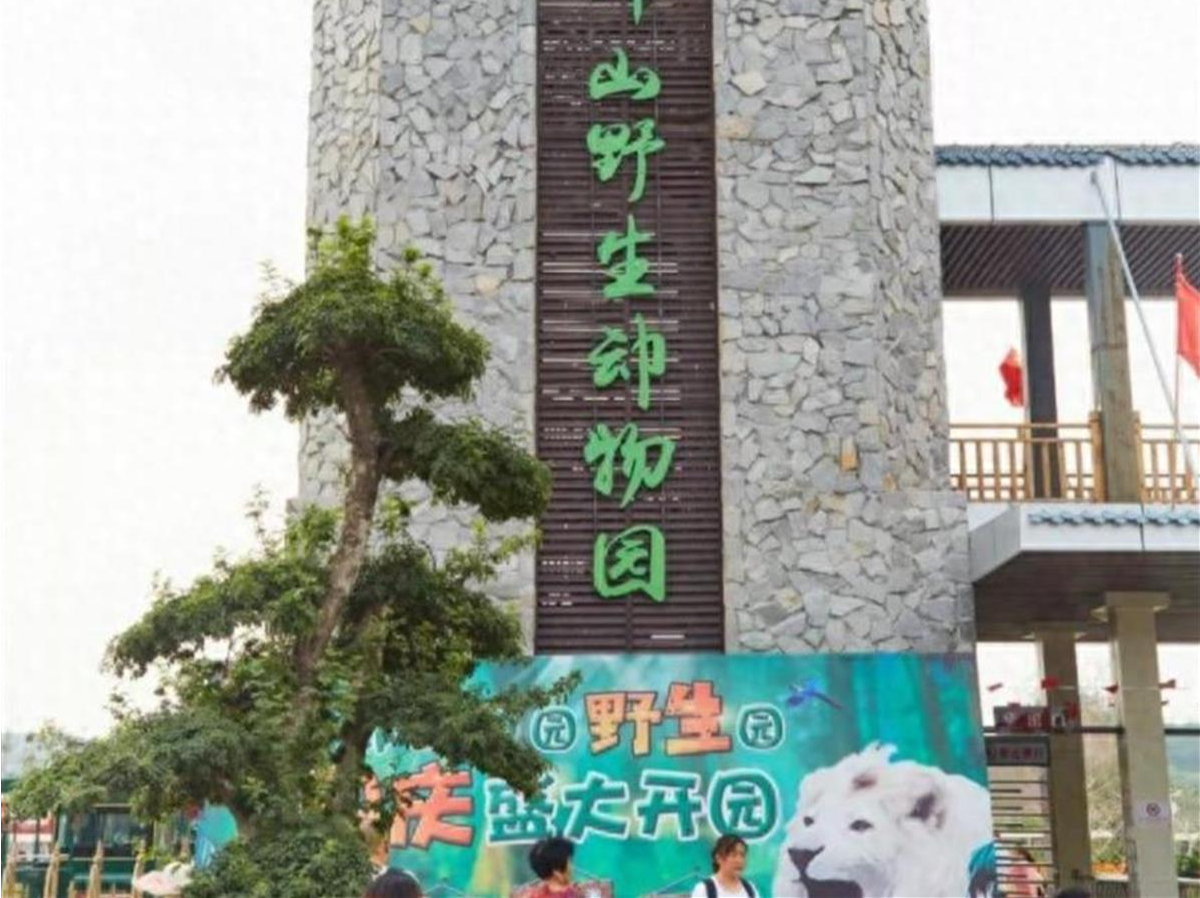 河北一动物园2岁黑熊出逃！当地：已确定所在位置
