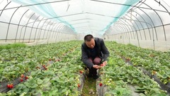 两会精神看落实·基层善治新篇｜把老百姓的“金点子”变成荷包里的“金果子”