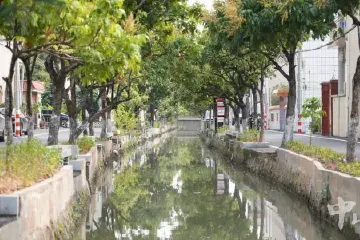 中山阜沙镇：群众满意就是治水最好的 “答卷” | 百名干部群众话治水