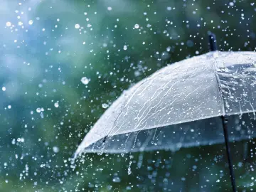 温度记｜阴雨模式开启！清明假期后期“雨纷纷”，“Sunny哥”这一次休多久？