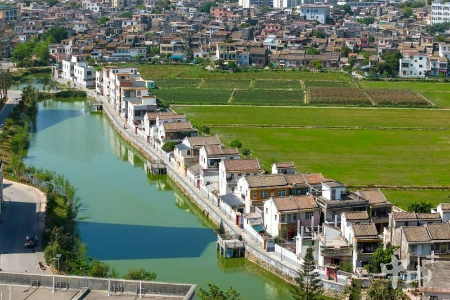 “愿景图”变“实景图”！中山走出特色强镇兴村富民路